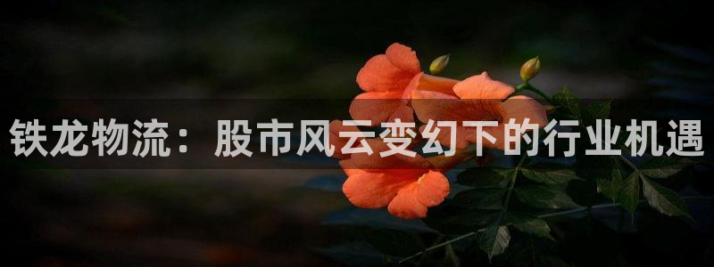 豪门国际官方网站：铁龙物流：股市风云