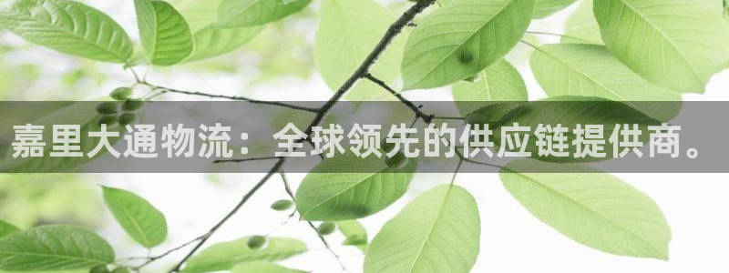 豪门国际软件有什么用：嘉里大通物流：