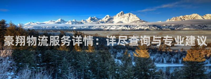 豪门国际官网网站：豪翔物流服务详情：详尽查询与专业建议