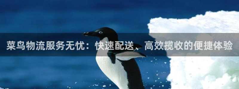 豪门国际反水：菜鸟物流服务无忧：快速
