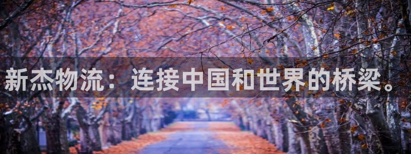 豪门国际新用户怎么注册：新杰物流：连