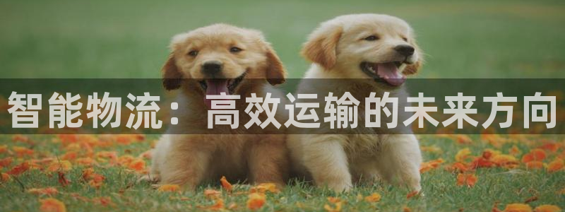 豪门国际注册过了警察知道吗：智能物流