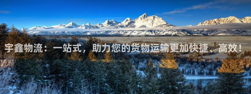 豪门国际软件是什么：宇鑫物流：一站式