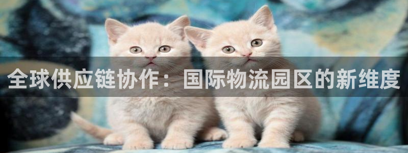 豪门国际注册登录链接：全球供应链协作