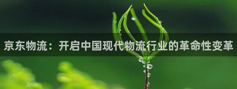 豪门国际p图上分下款通道：京东物流：