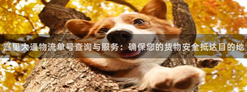 豪门国际官网入口pc是诈骗吗?：嘉里