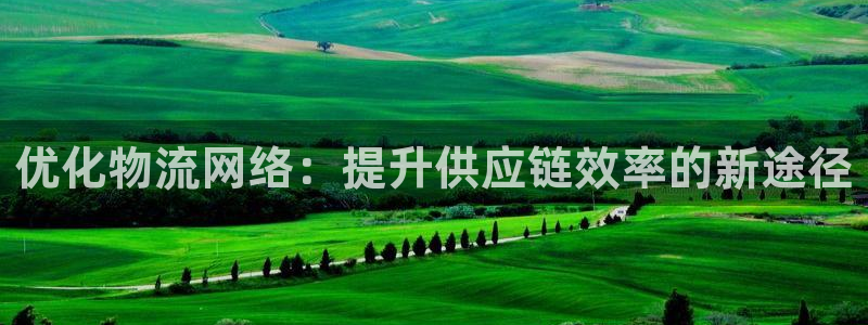 豪门国际为什么打不开：优化物流网络：