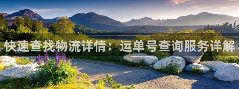 豪门国际ccm游戏：快速查找物流详情
