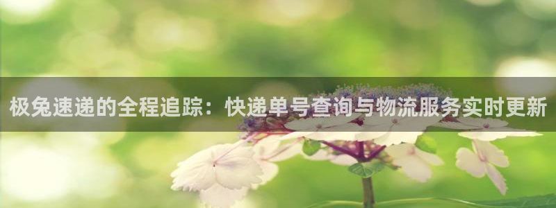 豪门国际链接是什么：极兔速递的全程追