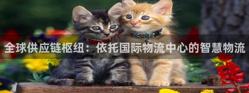 豪门国际官网入口pc29官网版下载：