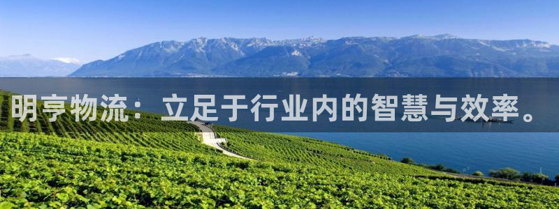 豪门国际官网平台：明亨物流：立足于行