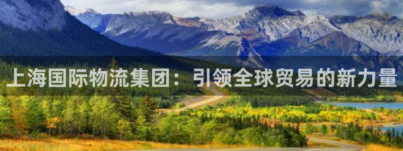 豪门国际充值不到账：上海国际物流集团