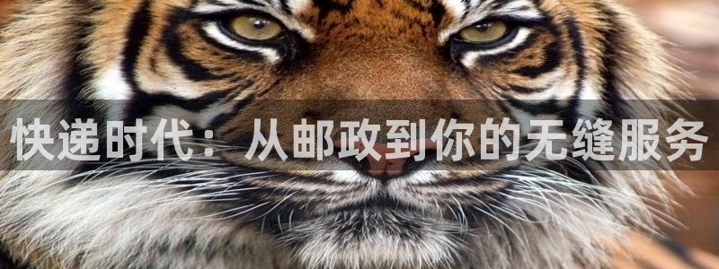 豪门国际加拿大下载：快递时代：从邮政