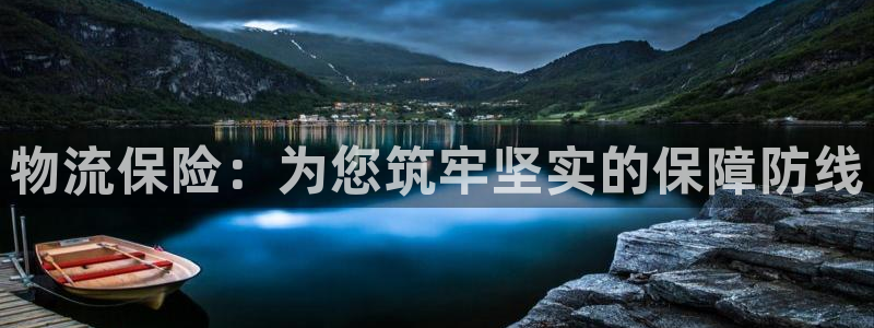豪门国际官网入口app：物流保险：为