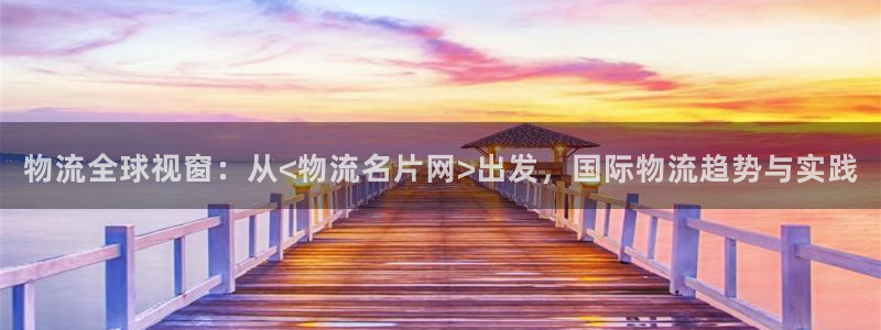 豪门国际黑款：物流全球视窗：从<物流名片网>出发，国际物流趋