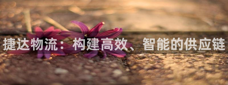 豪门国际官方版网站